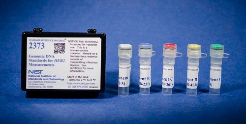 SRM 2373  基因组DNA标准HER 2测量值标准品